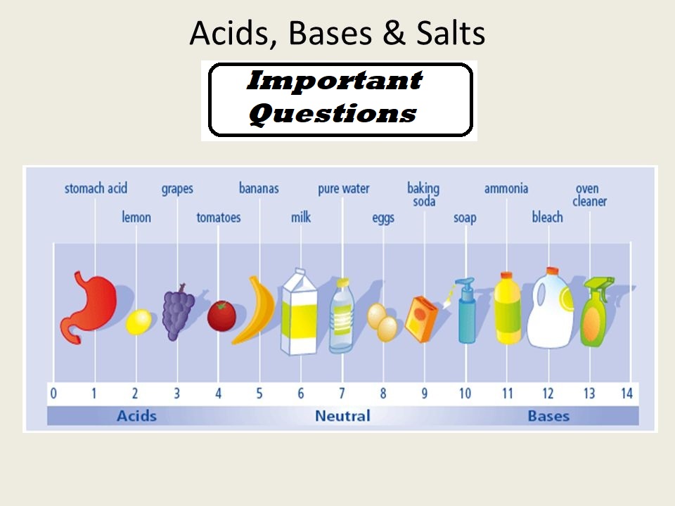 Acids Bases And Salts Important Questions - ScienceMotive