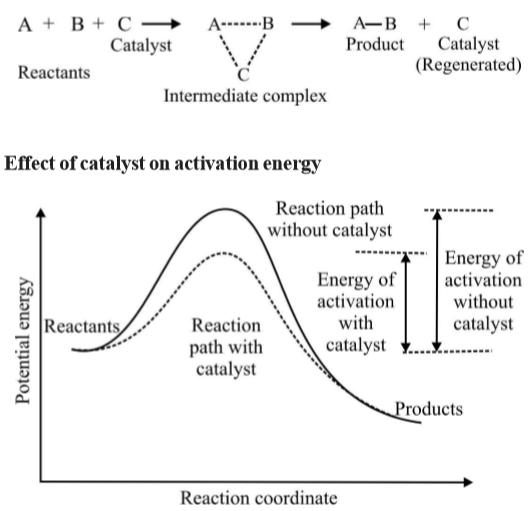 HalfLife of Reactions in Chemical ScienceMotive