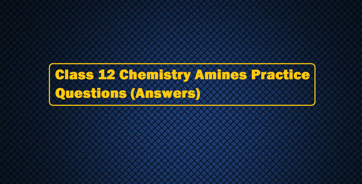 Class 12 Chemistry Amines Practice Questions (Answers) - ScienceMotive