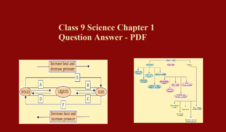 cbse class 9 science chapter 1 case study questions